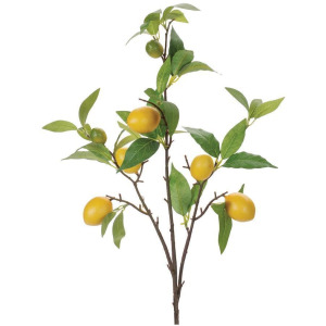 Lemon Branch M2