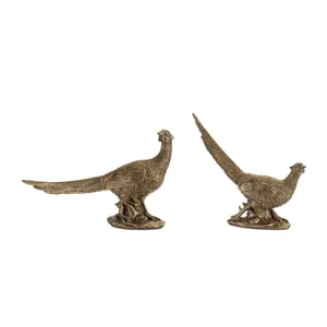 Antique. Gold Pheasant Asrtd**
