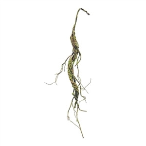 35'' Mossy Twig Garland **
