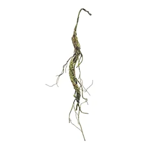 35'' Mossy Twig Garland **