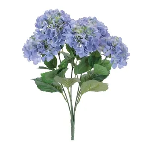 Purple Hydrangea Bush