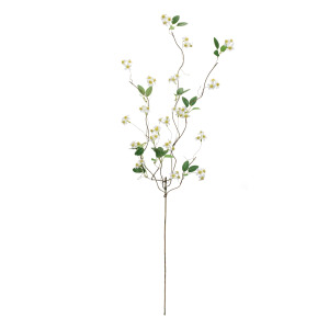 Mini White Daisys On A Branch