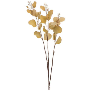 Beige Eucalyptus Stem M2