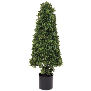 POTTED BOXWOOD CONE TOPIARY