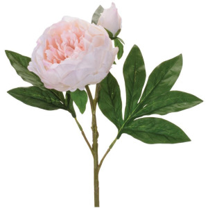 Pink Peoney Spray M2