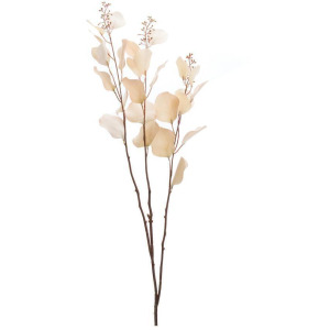 CREAMY PINK EUCALYPTUS STEM