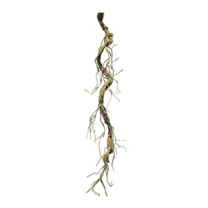 48'' Mossy Twig Garland