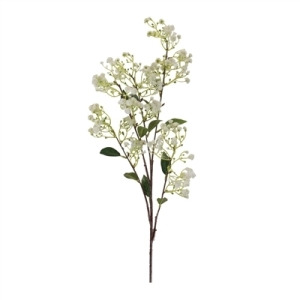 White Baby'S Breath Spray