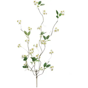 Mini White Daisys On A Branch