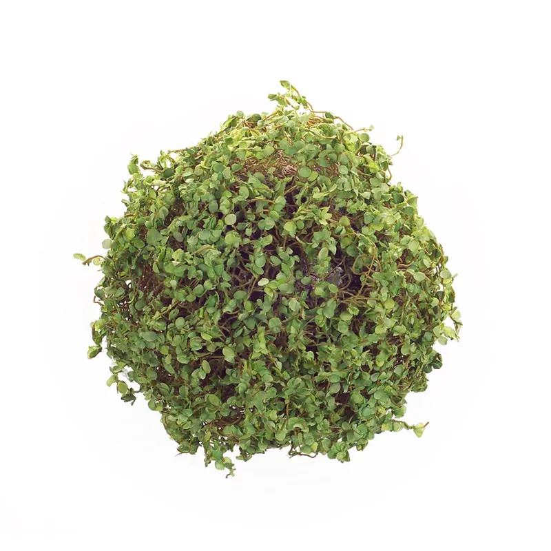 7'' Moss Orb