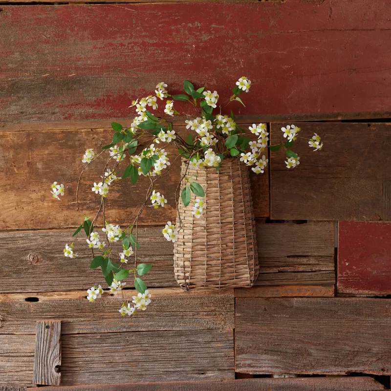 Mini White Daisys On A Branch