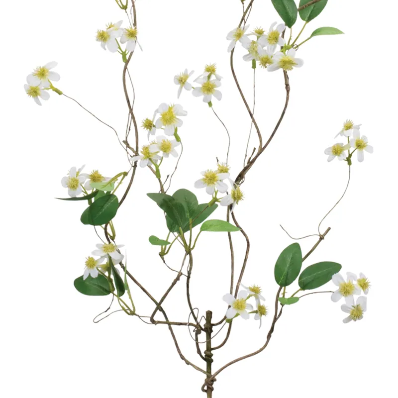 Mini White Daisys On A Branch