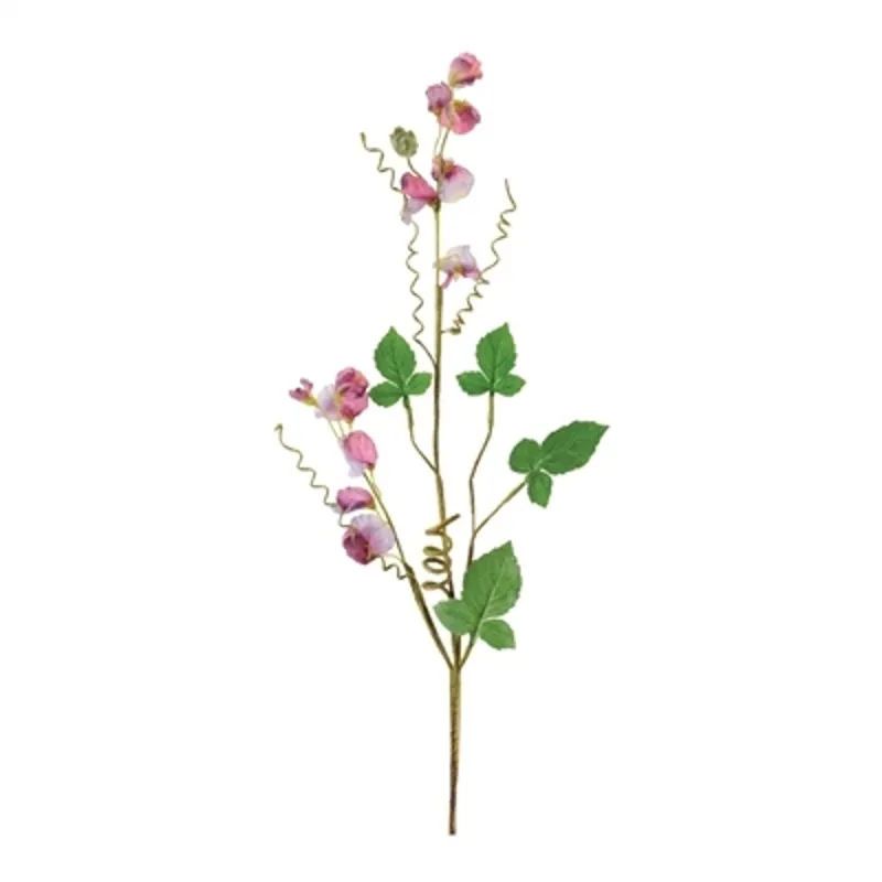 Sweet Pea Spray