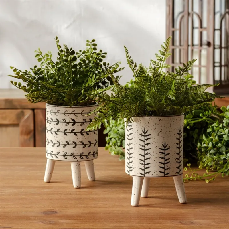 8.75'' Fern Bush Asrt