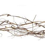 Twig Garland