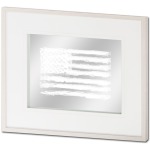 American Scratch Flag 2 white