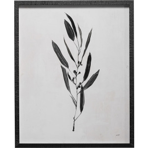 Botanical Study I