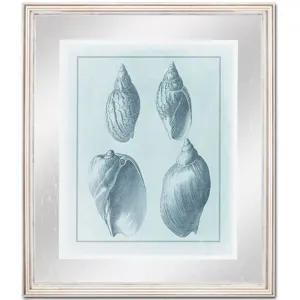 Spa Shell Collection III