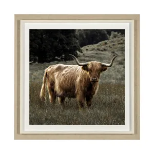 Humphry by Assaf Frank a Framed Photo Art Print Matted under Glass