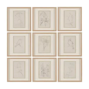 Sketch Collection (Set of 9) by Mercana Studio a Hand Embellished Framed Art Print Matted under Glass