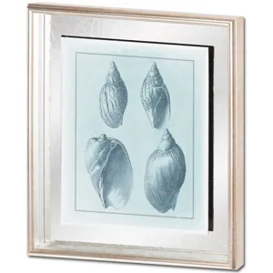 Spa Shell Collection III