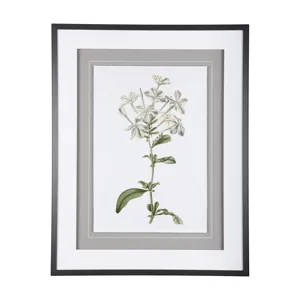 Soft Blue Botanicals VII