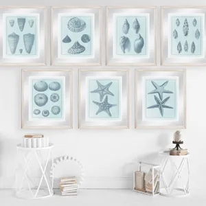 Spa Shell Collection III