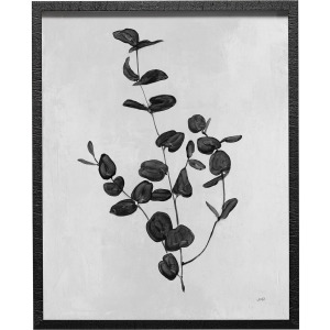 Botanical Study II