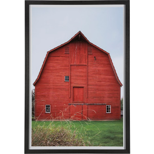 Red Barn I