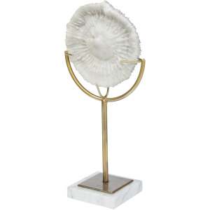 Sandy III (Large) 8L x 4W White Coastal Sand Dollar Object