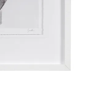 0084534_15219_C.jpeg
