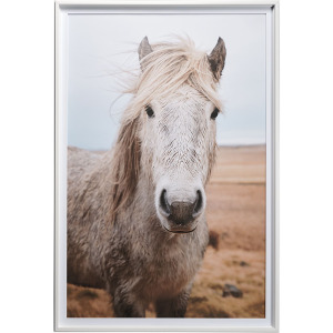Heida I by Laura Marshall a Framed Photo Art Print Matted under Glass