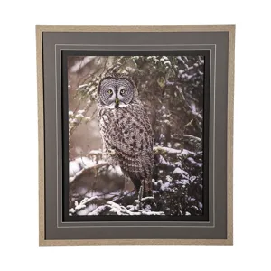 Owl in the Snow by PHBurchett a Framed Photo Art Print Matted under Glass