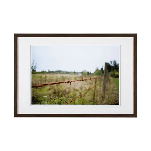 Barbed Wire by Katelyn Mostert a Framed Photo Art Print Matted under Glass