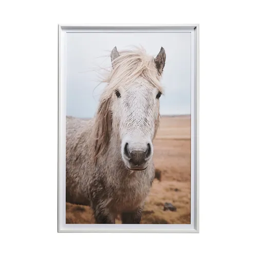 Heida I by Laura Marshall a Framed Photo Art Print Matted under Glass