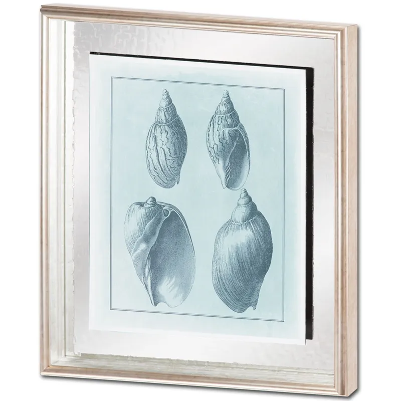 Spa Shell Collection III