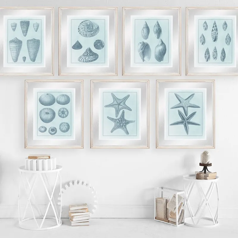 Spa Shell Collection III