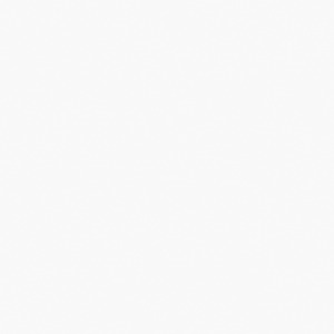 Prentice King Sleigh Rails