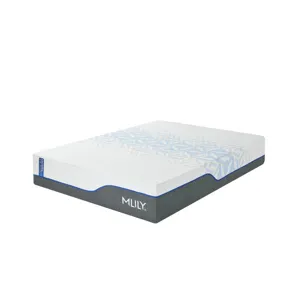 ChiroPro 3.0 Plush Mattress