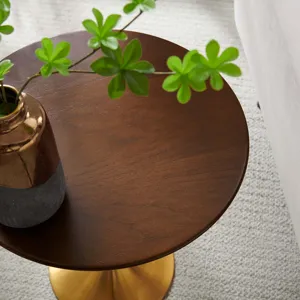 Lippa 20" Round Side Table