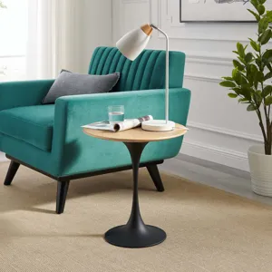 Lippa 20" Round Side Table
