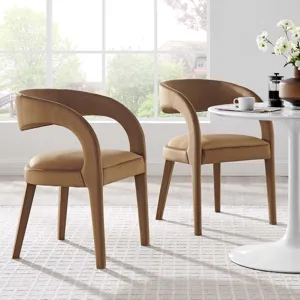Pinnacle Performance Velvet Dining Chair Set of Two