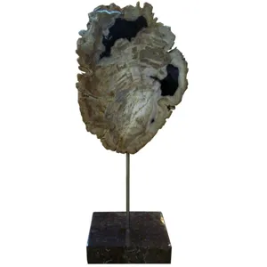 Petrified Wood Sculpture On Black Marble Base