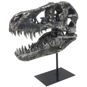 Dinosaur Head On Stand