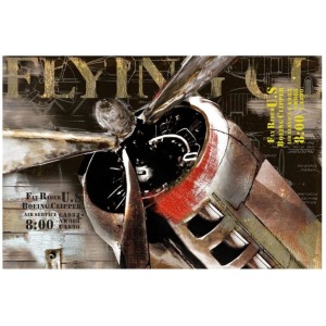 Flight Wall D&eacute;cor