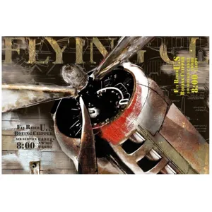 Flight Wall D&eacute;cor