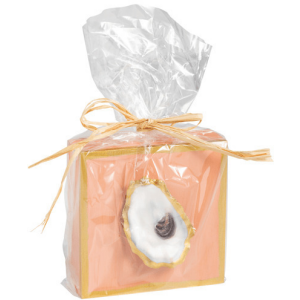 OYSTER SHELL ON CORAL PLAQUE