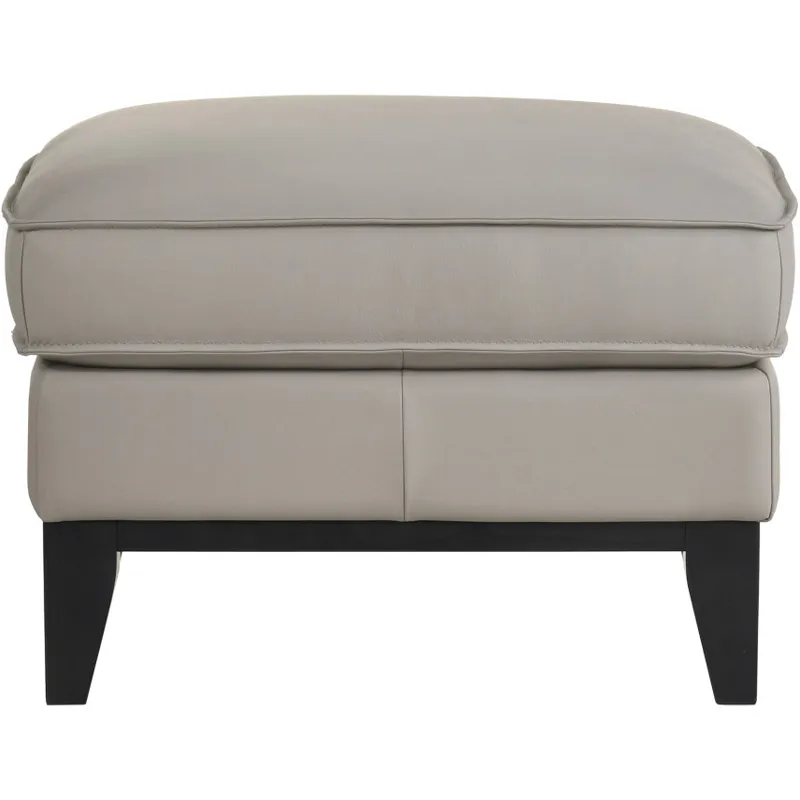 Aaron Leather Ottoman-Mist Gray