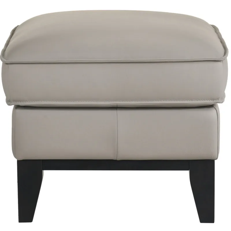 Aaron Leather Ottoman-Mist Gray