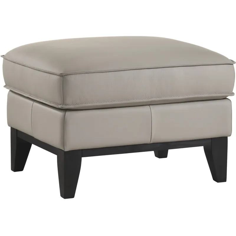Aaron Leather Ottoman-Mist Gray